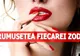 Care este frumusețea fiecărei zodii