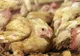 35.000 de pui de la o fermă din Târgu-Jiu au murit de foame. Nimeni nu i-a hrănit două săptămâni