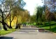 Joacă sfârşită tragic, în parcul bucureştean IOR. Un băieţel şi-a pierdut viaţa