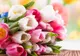 Ai primit un buchet de lalele? Ce trebuie să faci pentru ca florile să reziste mai mult în vază