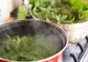 Aşa faci cea mai bună mâncărică de URZICI. Ingredientul secret care-i dă tot gustul