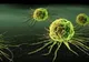 Adevărata cauză a cancerului. Ce nu spun niciodată medicii