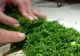 Proprietăţile miraculoase ale mărarului: opreşte sughiţul, alungă sforăitul şi curăţă perfect dinţii