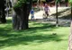 Primarul care vrea să cumpere veveriţe primeşte răspuns:"Chiar nu vă este ruşine? Bine că.."