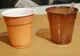 Anunțul care va afecta băutorii de cafea. Au interzis paharele de unică folosință