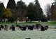 A făcut o poză în cimitir și abia apoi a observat detaliul înfricoșător