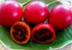 Tamarillo, fructul exotic mai puțin cunoscut cu efecte uluitoare asupra sănătății