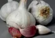 Usturoiul, alimentul-minune. Beneficii, proprietăţi, curiozităţi