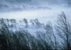 Anunțul de ultimă oră de la meteorologi. Cod galben în România