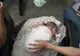 Virusul Zika face ravagii. Peste 25.500 de infecţii, dintre care 3.177 de femei gravide, în Columbia