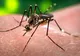 Noi decese din cauza virusului Zika. Trei oameni au murit în Venezuela
