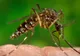 Trei persoane care aveau virusul Zika au decedat în Columbia 
