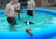 Cele mai PENIBILE modificări ale obiectelor pe care le folosim zilnic. Improvizaţii GROTEŞTI