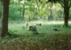 Acest cimitir e cel mai înfricoșător loc din lume. Seară de seară,printre morminte, se întâmplă asta
