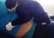 Această pisică s-a "îndrăgostit" de bebelușul din burta mamei. Ce a urmat după naștere e fantastic