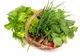 Cură de detoxifiere cu verdețuri de primăvară 