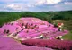 Cele mai colorate locuri de pe pământ, create de Mama Natură! Imaginile sunt incredibile