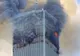 Decizie ciudată a unui judecător din New York, în urma atentatelor 9/11. Iranul, bun de plată