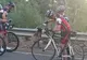 Un grup de ciclişti, opriţi de un ursuleţ koala. Ce s-a întâmplat imediat după aceea e uimitor!