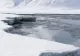 Înregistrarea video care dă fiori planetei! Ce s-a întâmplat cu gheața din Arctica 
