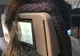 Aplicaţia care te ajută să supravieţuieşti în cazul unui accident aviatic