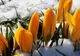 Vremea extremelor: soare cu dinţi, lapoviţă şi ninsori. Prognoza meteo pe trei zile