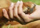 Aşa arată "cel mai trist câine din lume". Nimeni nu mai vrea să-l adopte