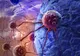 Greşeli pe care le facem în fiecare zi şi care pot favoriza apariţia cancerului