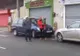Viața bate filmul! O focă iese zilnic din ocean ca să meargă la restaurant