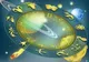 Horoscop 21 martie. O zi perfectă pe toate planurile! O singură zodie are probleme mari