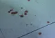 Sfârşit înfiorător pentru un om de afaceri din Arad. Era în baie luni dimineaţă, când...