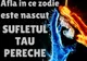 Ce zodie e sufletul tău pereche 