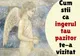 Semne că ești vizitat de îngerul tău păzitor   