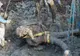 Lucra pământul și a văzut ceva bizar ieșind din brazdă. L-a scos cu o macara și a rămas fără cuvinte