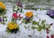 Vremea extremelor: vânt, lapoviţă şi ninsori. Prognoza meteo pe trei zile