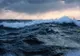 Descoperire uluitoare în adâncurile Oceanului Pacific. Seamănă cu o fantomă