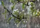 Prognoza METEO: Gata cu căldura, urmează temperaturi scăzute și ploi pe arii extinse