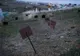 Atentat în Rusia, revendicat de ISIS. 3 victime, după explozia a două bombe artizanale