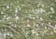 Fenomene meteo bizare pe 1 martie, la Botoşani: cer brăzdat de "mingi de foc" şi ploaie cu gheaţă