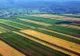 CULISELE STATULUI PARALEL. Culturile în România, din ce în ce mai mici