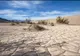 Fenomen rar, dar spectaculos, în cel mai arid loc din lume. Cum a revenit la viaţă Valea Morţii