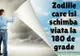Zodiile care îşi schimbă viaţă la 180 de grade în 2016