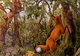 Cel mai tare puzzle. Câte fețe de oameni și de animale ai reușit să identifici?