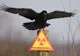 30 de ani de la catastrofa de la Cernobîl. Cum arată acum zona contaminată