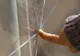 Cum repari un geam fisurat cu un căţel de USTUROI