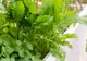 Planta care tratează guşa tiroidiană. Toţi românii ar trebui să o consume