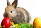PAŞTE 2016. Cele mai ciudate tradiţii de Paşte: femeile sunt biciuite, iar iepuraşul este animal rău