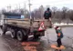Imaginile virale ale zilei: metoda incredibilă de astupare a gropilor