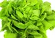 Cât de sănătoasă este, de fapt, salata verde. Acum că ştii, mai mănânci?