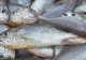 Iată cum poţi fi înşelat de către vânzător când cumperi peşte din pieţele alimentare